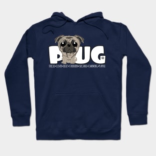 Pug - DGBigHead Hoodie